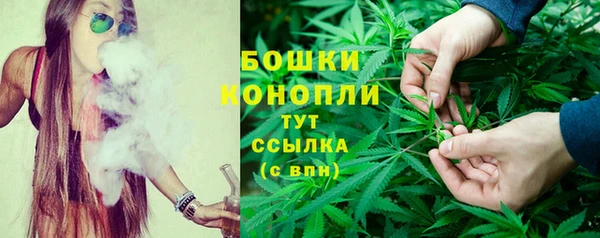 амф Богородицк