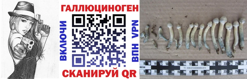 Псилоцибиновые грибы ЛСД где купить наркоту гидра сайт darknet Telegram Озёрск